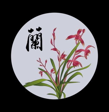 手绘兰花