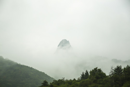 秦岭山