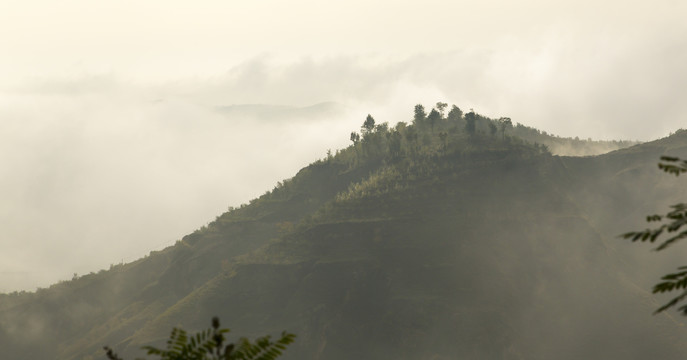 雾景