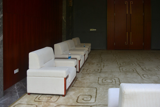 会议厅休息室沙发及地毯