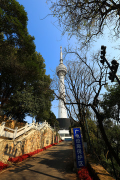 龟山公园