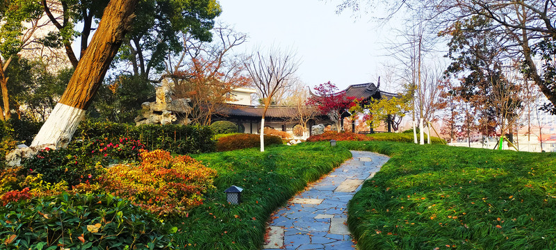 公园小径