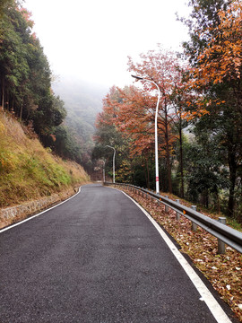 秋天里的山上公路