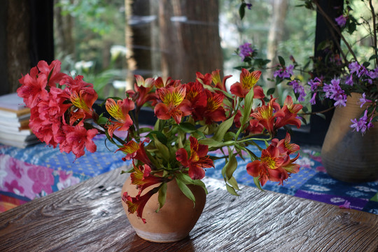 野杜鹃插花