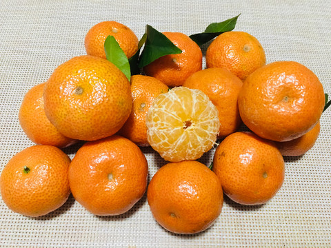 砂糖橘