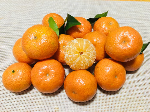 冰糖橘