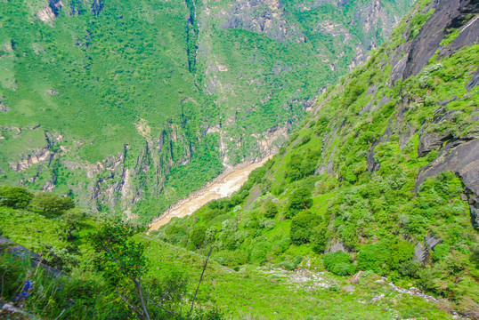 金沙峡谷