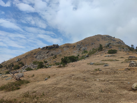 高山草甸