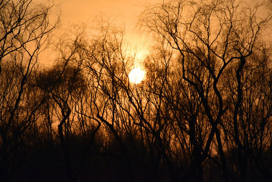 夕阳下颐和园绚烂如画