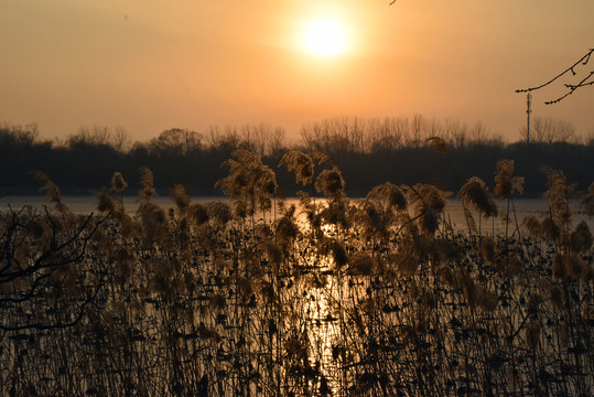 夕阳下颐和园绚烂如画