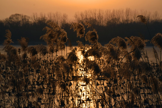 夕阳下颐和园绚烂如画