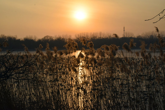 夕阳下颐和园绚烂如画