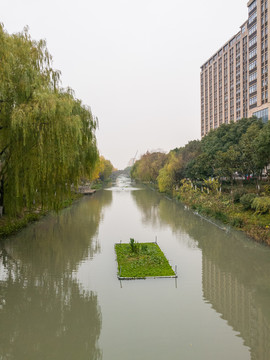 江南冬天的河景