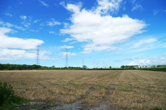 田地麦场