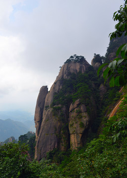 黄山悬崖