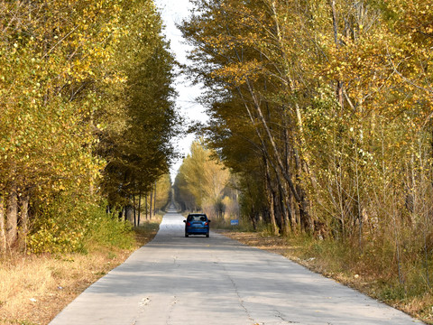 农村道路