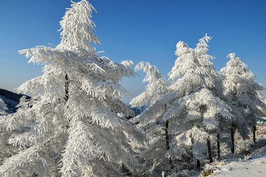 五峰独岭雪景