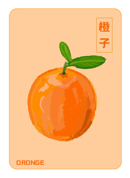 手绘橙子插画