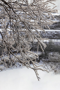 雪景