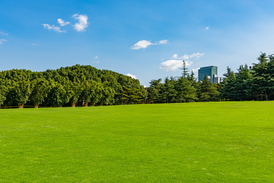 上海世纪公园草坪