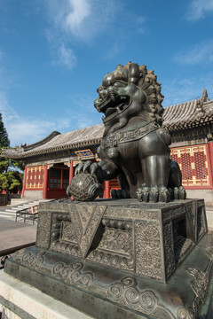 颐和园东门铜狮