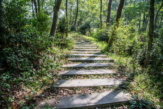 南京老山森林公园登山台阶