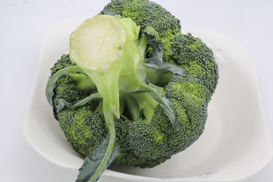 芥兰花