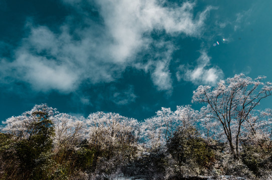 天燕的雪