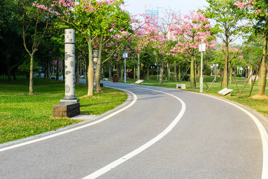 顺峰山公园林间小道