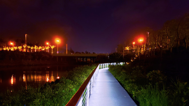 五源河国家湿地公园夜景