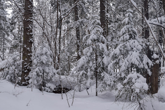 长白山雪景素材