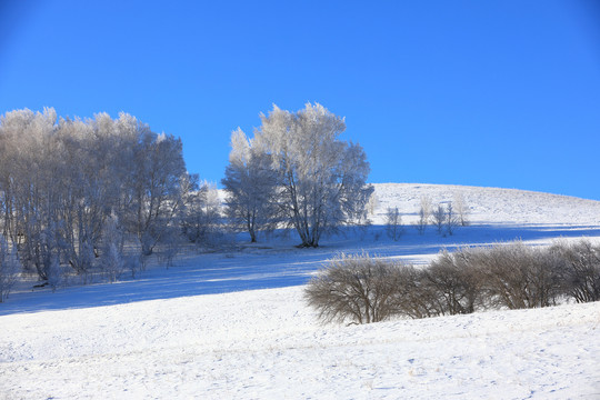 雪景