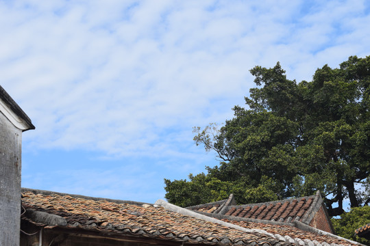 东莞茶山南社村的天空