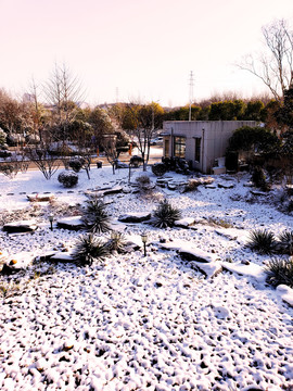 白雪铺满的雨水花园