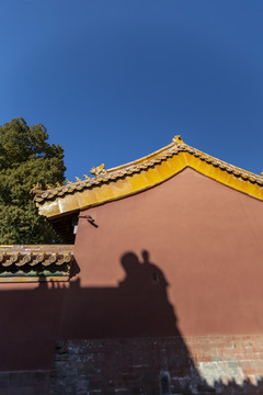 光影中的北京故宫建筑