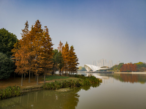 深秋之蠡湖金城湾湿地11