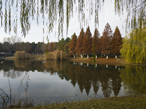 深秋之长广溪湿地5