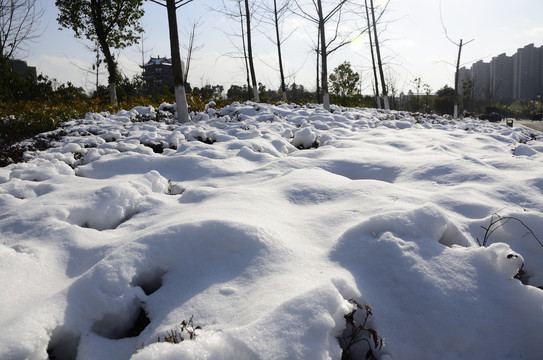 雪
