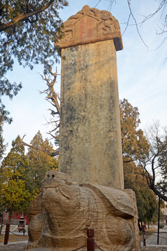 宣和重修泰岳庙记碑