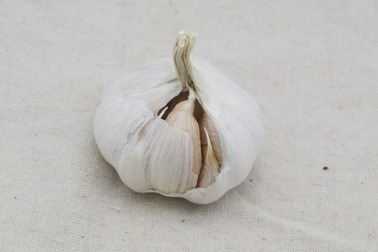 蒜