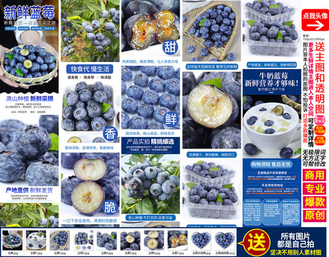蓝莓详情页主图