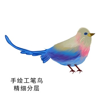 手绘水彩鸟