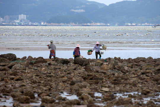 海边生活的渔民