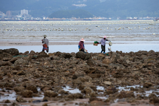 海边生活的渔民