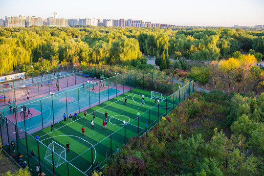 北京昌平区公园秋季群众运动场景