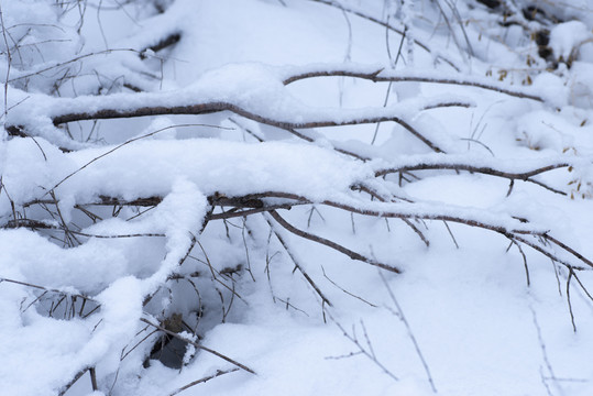 大雪