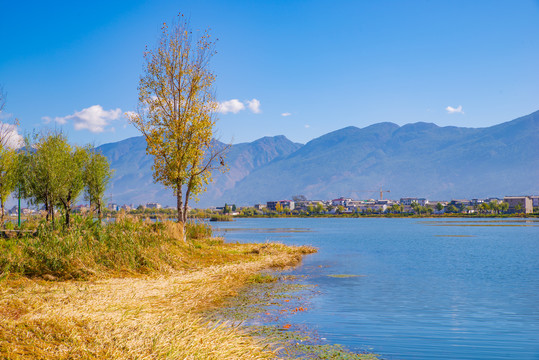 鹤庆水乡自然保护区