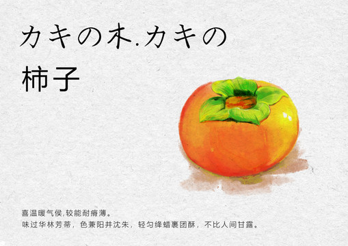 柿子海报