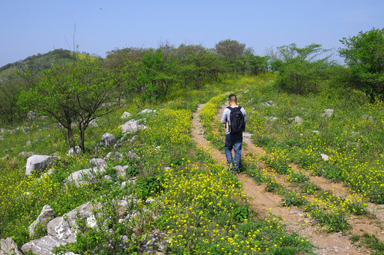 春行山路