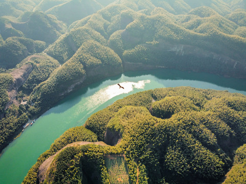 鹰击长空